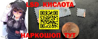 стаф Заводоуковск