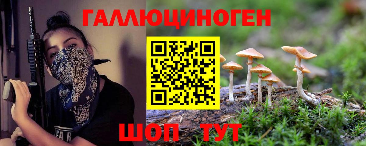 Псилоцибиновые грибы Psilocybine cubensis  Галлюциногенные грибы Magic Shrooms  Новоалександровск  Вход с VPN 